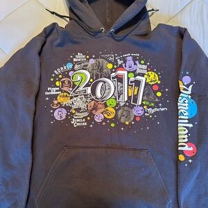 Hanes Disney World Brown Hoodie
